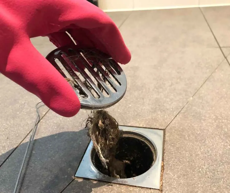 Standing water in shower drain