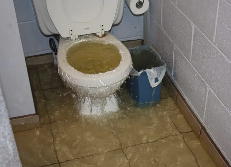 Toilets overflowing or drains backing up weston fl