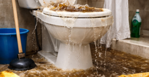 Toilets overflowing or drains backing up