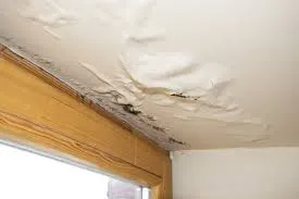Ceiling water stains or attic water leak damage Weston Fl